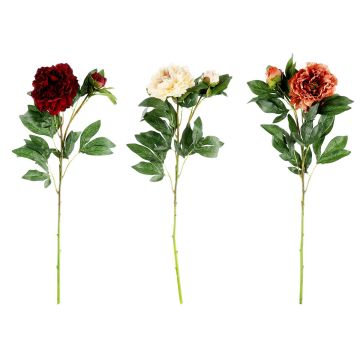 4LIVING PIONI OKSA 76 CM