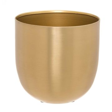 4LIVING SUOJARUUKKU GOLDIE 15 CM