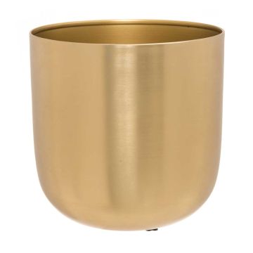 4LIVING SUOJARUUKKU GOLDIE 18 CM
