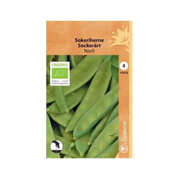 SIEMEN LUOMU SOKERIHERNE NORLI HR4