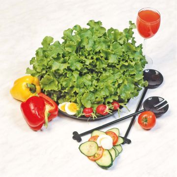 SIEMEN TAMMENLEHTISALAATTI SALAD BOWL HR2