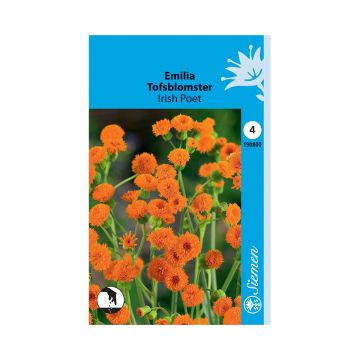 SIEMEN EMILIA IRISH POET HR4