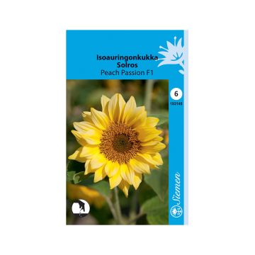 SIEMEN ISOAURINGONKUKKA PEACH PASSION F1 HR6