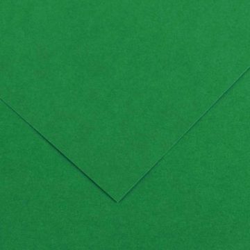 CANSON IRIS VIVALDI 240G A4 30 MOSS GREEN 5 ARKKIA