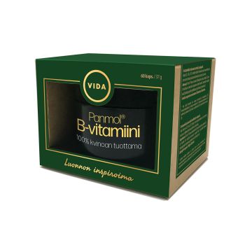 VIDA KUULAS PANMOL B-VITAMIINI 60 KPL
