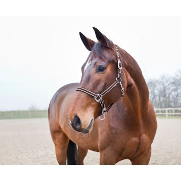 HORZE NICE RIIMU P RUSKEA