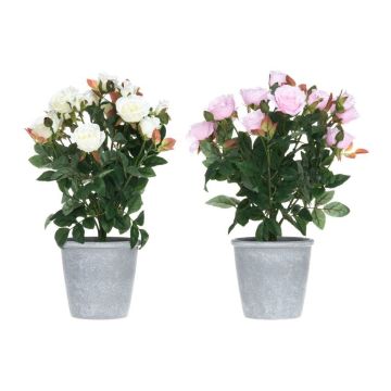 4LIVING RUUSU 36 CM RUUKUSSA
