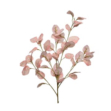 EUCALYPTUSOKSA PINKKI 85CM