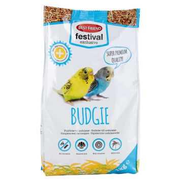 BEST FRIEND FESTIVAL EXCLUSIVE UNDULAATIN TÄYSRAVINTO 1KG