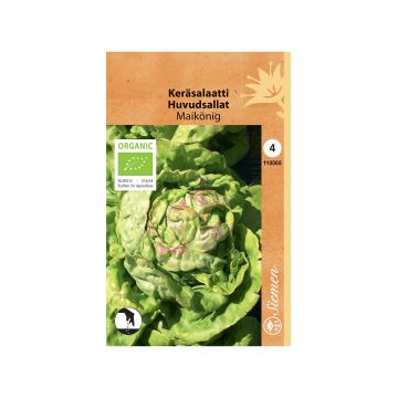 SIEMEN LUOMU KERÄSALAATTI MAIKÖNIG HR4