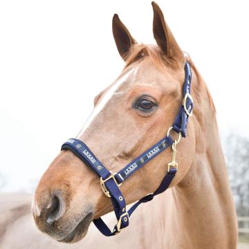 HORZE HAMPTONS -RIIMU XF T.SININEN