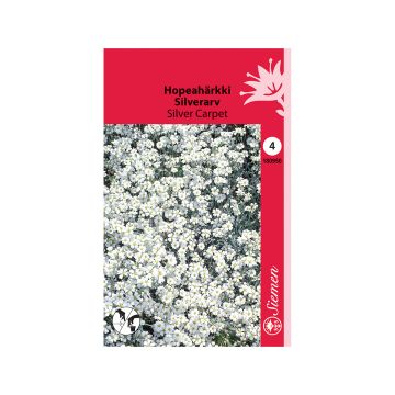 SIEMEN HOPEAHÄRKKI SILVER CARPET HR4
