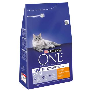 PURINA ONE KISSAN TÄYSRAVINTO ADULT RUNSAASTI KANAA & TÄYSJYVÄV 1