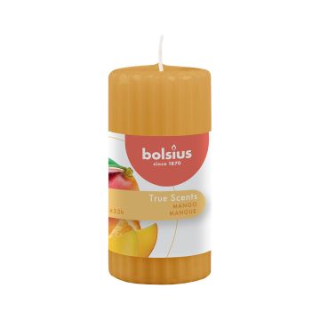 BOLSIUS TUOKSUPÖYTÄKYNTTILÄ 120/58MM MANGO
