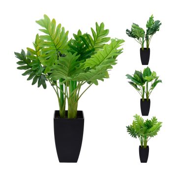 VIHERKASVI RUUKUSSA 65CM