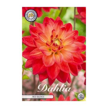 KUKKASIPULI DAHLIA RED SILENCE 1 KPL I