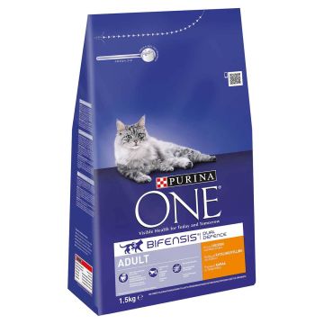 PURINA ONE KISSAN TÄYSRAVINTO ADULT RUNSAASTI KANAA & TÄYSJYVÄV 1
