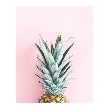 ART LINK JULISTE PINEAPPLE 40X50