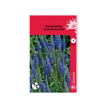 SIEMEN RANTATÄDYKE HR4