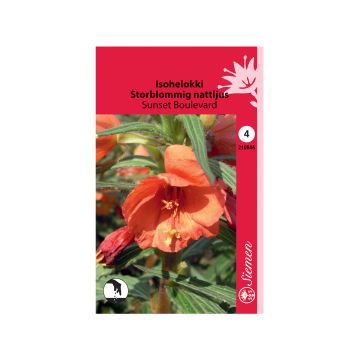 SIEMEN ISOHELOKKI SUNSET BOULEVARD HR4