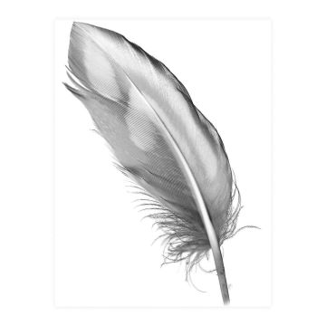 ART LINK JULISTE FEATHER 30X40