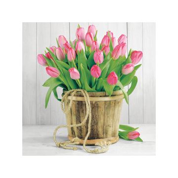 AMBIENTE LAUTASLIINA 33X33CM TULIPS IN BUCKET