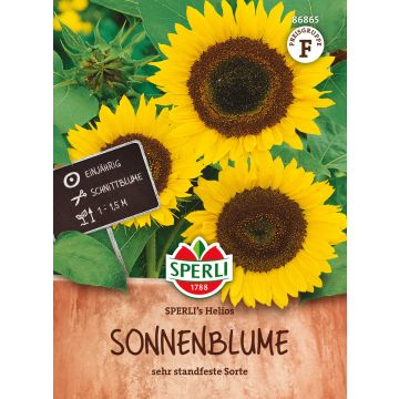 SPERLI ISOAURINGONKUKKA HELIOS ANNOS F