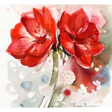 HAVI LAUTASLIINA AMARYLLIS 20KPL/24 CM