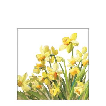 AMBIENTE LAUTASLIINA 25X25 GOLDEN DAFFODILS FSC MIX