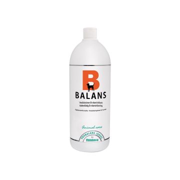 PROBALANS B-BALANS B-VITAMIINILIUOS KOIRILLE 100 ML