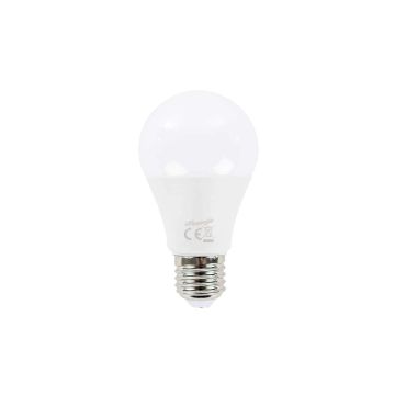 LED ENERGIE LED-VAKIOKUPULAMPPU 12V, 5W, A60, E27, 400LM, 3000K