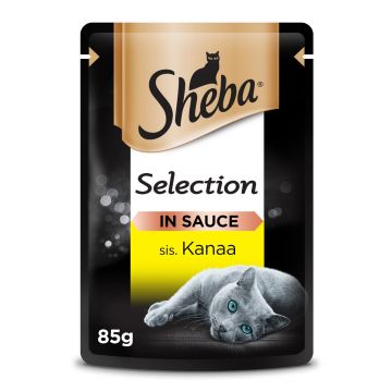 SHEBA ANNOSP. SELECTION KANAA KASTIKKEESSA 85 G