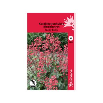 SIEMEN KORALLIKEIJUNKUKKA RUBY BELLS HR4