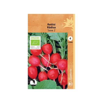 SIEMEN LUOMU RETIISI SAXA 2 HR4