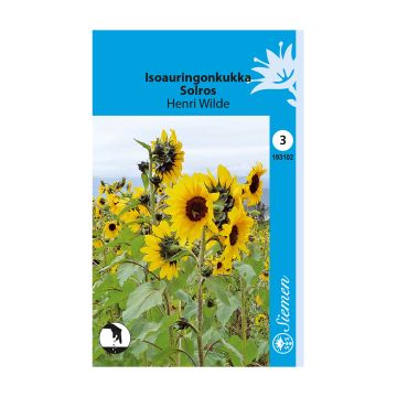 SIEMEN ISOAURINGONKUKKA HENRI WILDE HR3