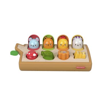 FISHER-PRICE  HIDE & PEEK POP-UP GJW24