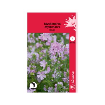 SIEMEN MYSKIMALVA ROSE HR4