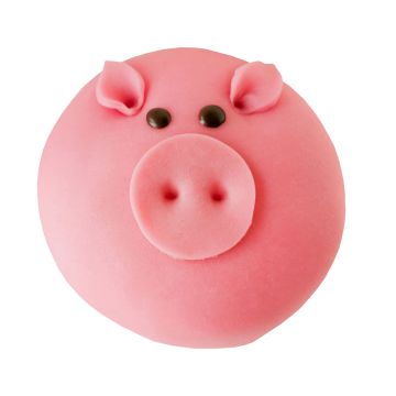 ELOSEN POSSUKAKKU 500 G