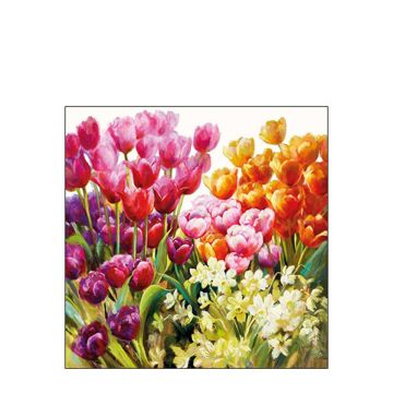 AMBIENTE LAUTASLIINA 25X25 TULIPS FSC MIX