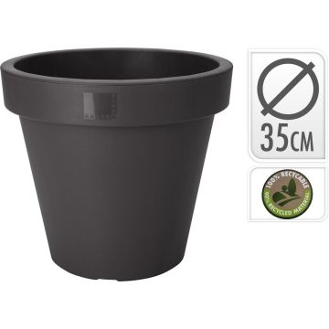 KUKKARUUKKU ANTRASIITTI HALKAISIJA 35CM ALTAKASTELEVA