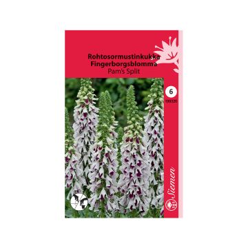 SIEMEN ROHTOSORMUSTINKUKKA PAM'S SPLIT HR6