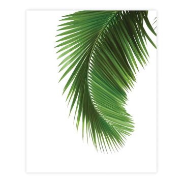 ART LINK JULISTE PALM TREE 40X50