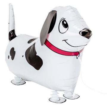KÄVELEVÄ FOLIOPALLO DALMATIALAINEN KÄVELEVÄ FOLIOPALLO