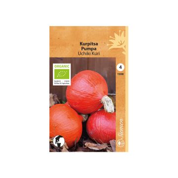 SIEMEN LUOMU KURPITSA UCHIKI KURI