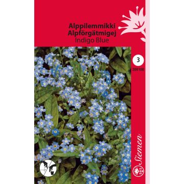 SIEMEN PUISTOLEMMIKKI INDIGO BLUE HR3