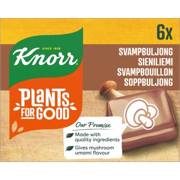 KNORR SIENI LIEMIKUUTIO 6X10G 60 G