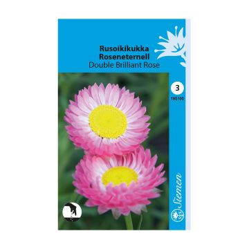 SIEMEN RUSOIKIKUKKA DOUBLE BRILLIANT ROSE HR3