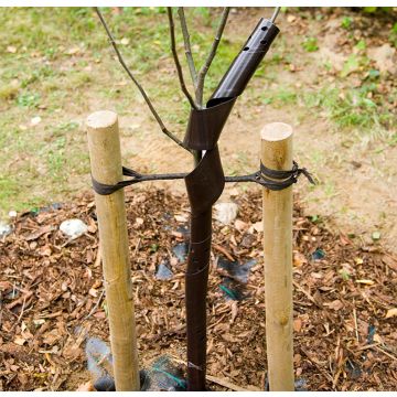 RUNGONSUOJA 60 CM SPIRAALI 5 KPL/NPU