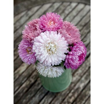 SIEMEN KIINANASTERI BRIDESMAIDS HR3