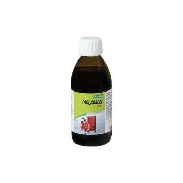 MOLKOSAN FRUIT HERAJUOMA 500 ML